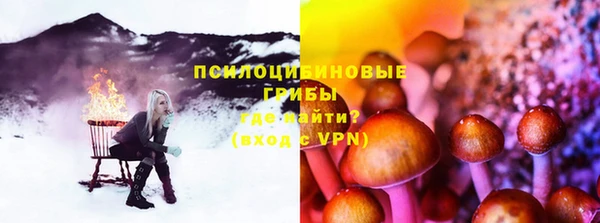 спайс Козловка