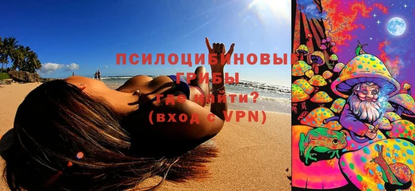 дмт Козельск