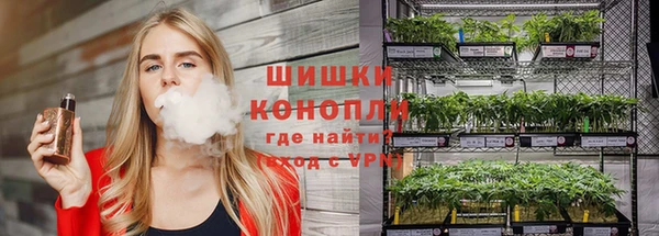 хмурый Кодинск