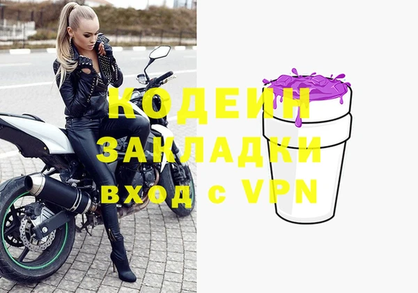 хмурый Кодинск