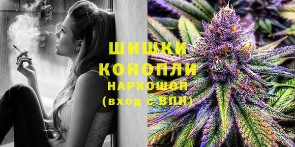 дмт Козельск