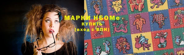 хмурый Кодинск