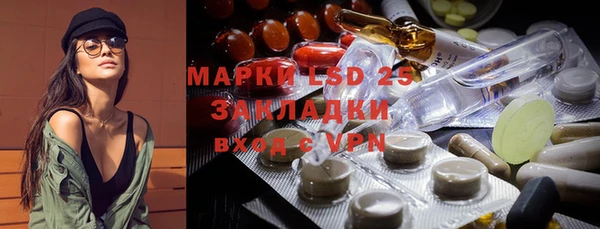 хмурый Кодинск