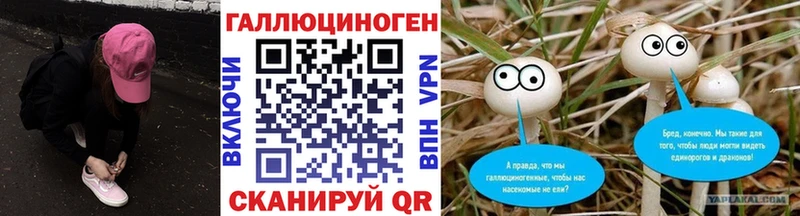 Купить где  Геленджик  Псилоцибиновые грибы прущие грибы 